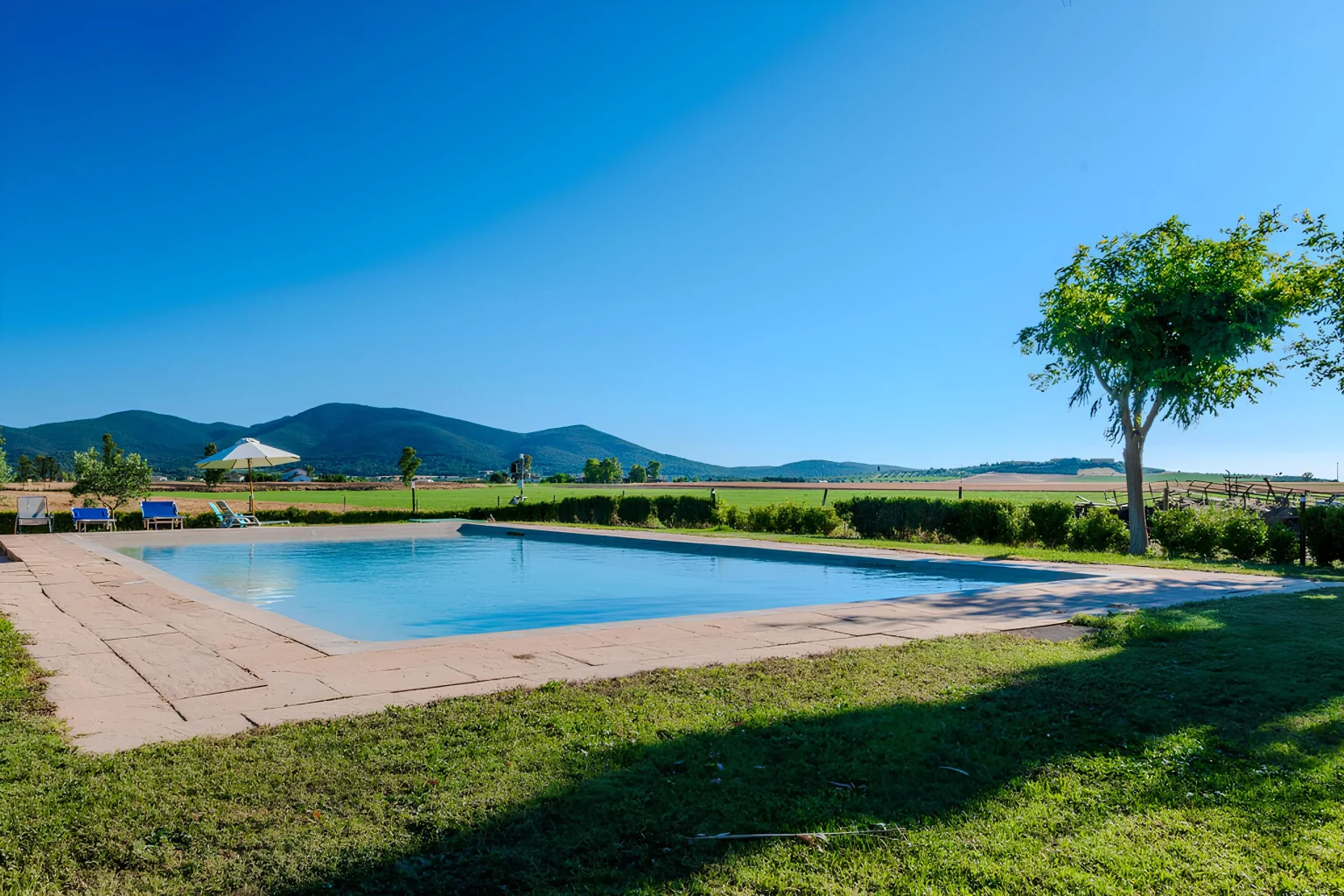 msg1269588868-402907-1-1-scaled (1)