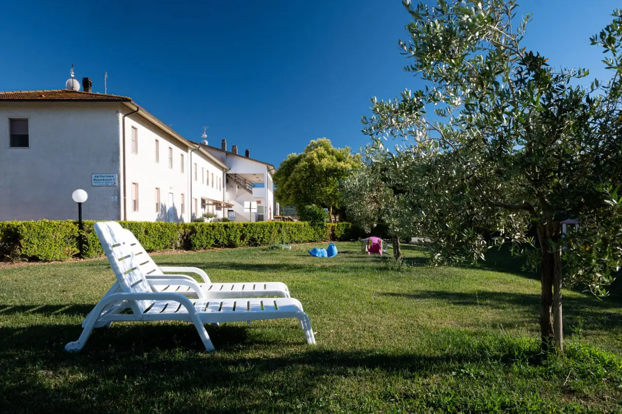 msg1269588868-402911-1-jpg